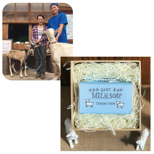 ふるさと納税 長野県 須坂市 [No.5657-3549]直虎(なおとら) 純米吟醸 無濾過生原酒1800ml（長野県産美山錦）《株式会社遠藤酒造場》 ふるさと納税 長野県 須坂市 [No.5657-3549]直虎(なおとら) 純米吟醸